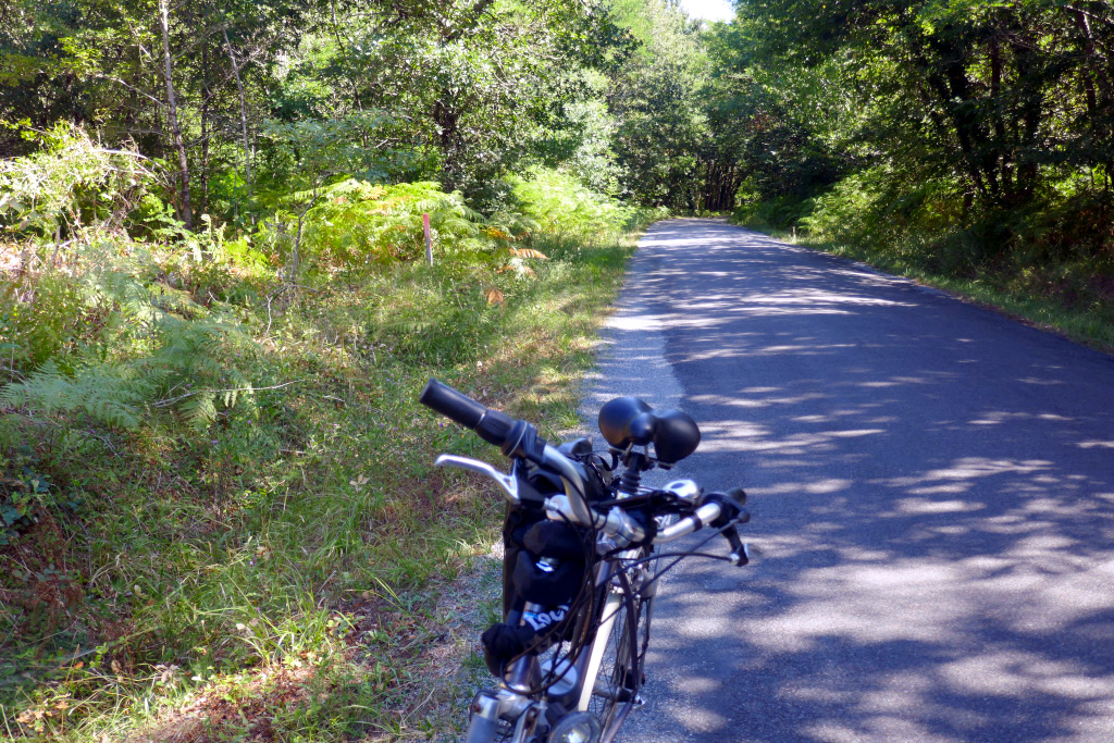 Un de nos vélos sur sa béquille, au bord d'une route traversant une forêt, lors de notre randonnée Pouillac Bordeaux à vélo.
