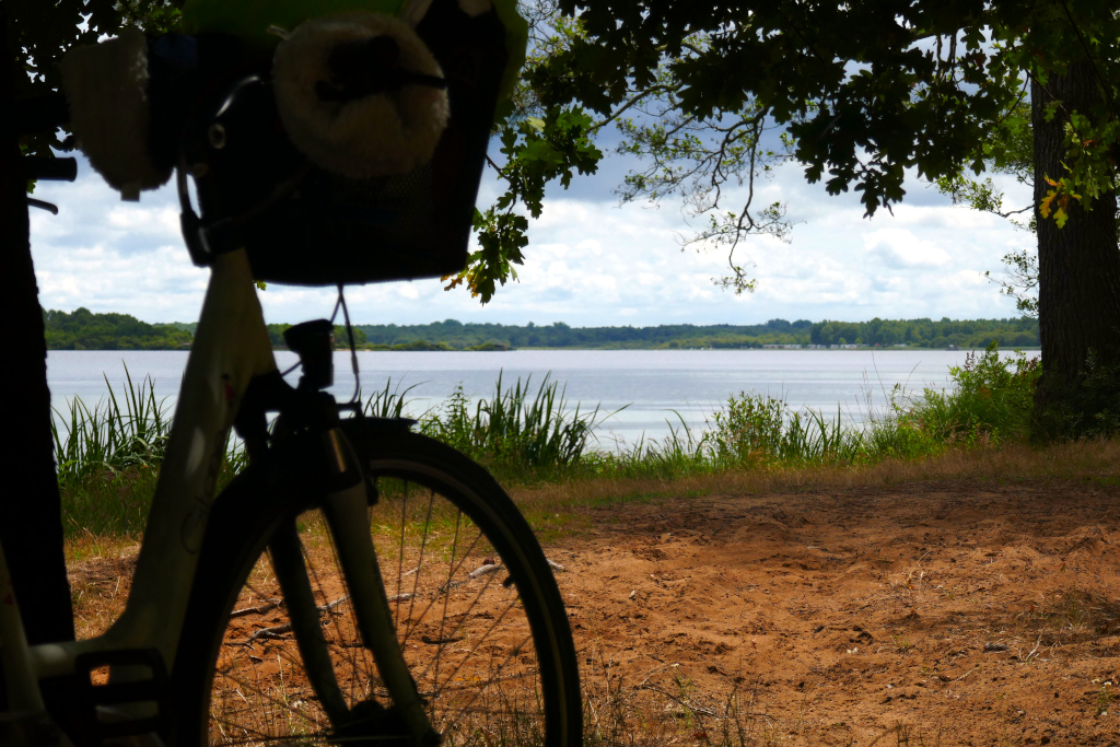 Mimizan - Vieux-Boucau à vélo, première étape : le lac d'Oreilhan