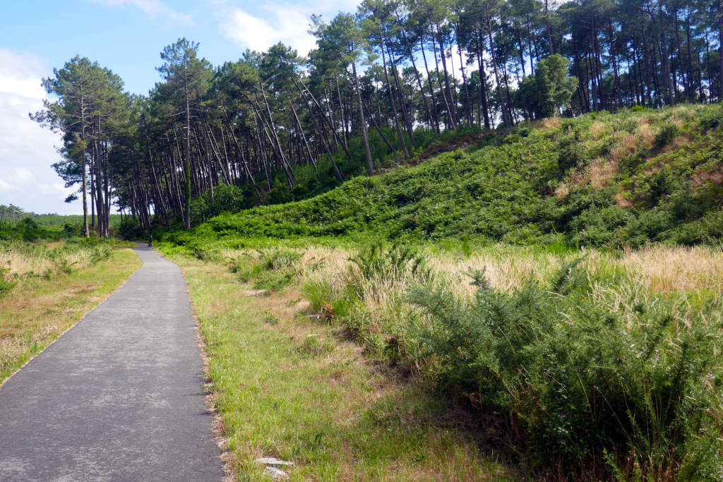 Mimizan - Vieux-Boucau à vélo et des pins qui tombent sur la Vélodyssée