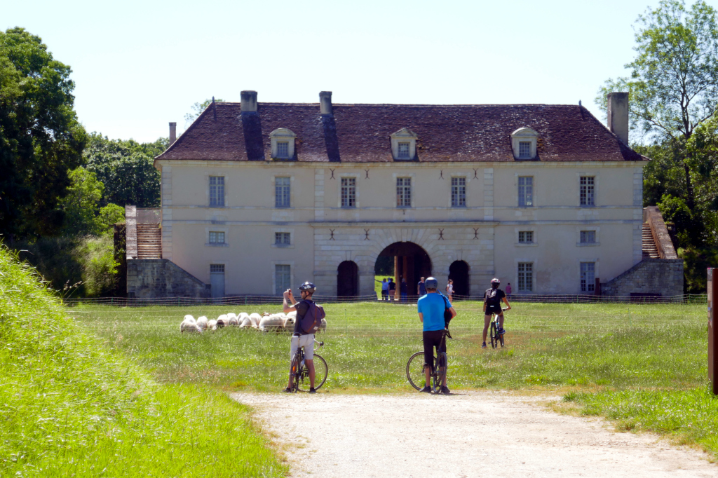 Pauillac Bordeaux à vélo : faites le tour de Fort-Médoc avec vos vélos