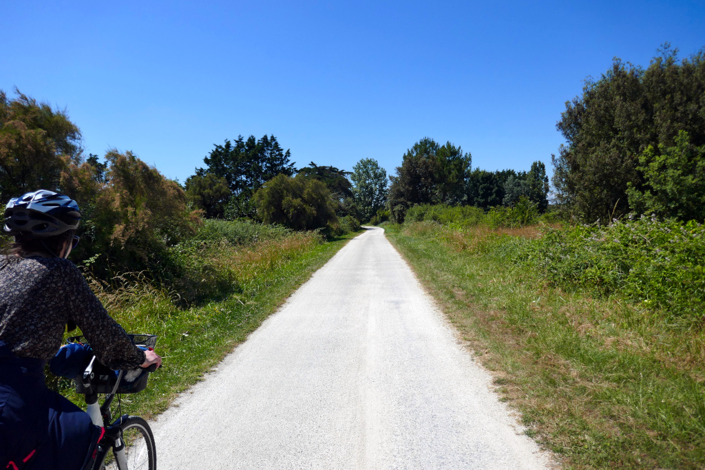Royan Ile d'Oléron à vélo - Une fois sur l'Ile d'Oléron, les aménagements cyclables rendent le cyclotourisme très agréable !