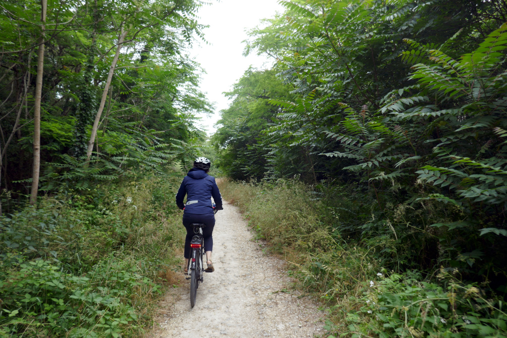 Le nord de l'Ile d'Oléron à vélo et les pistes cyclables qui serpentent au milieu de la végétation