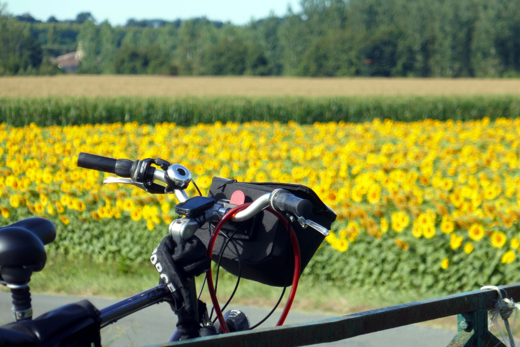 Pour faire La Réole Damazan à vélo, vous commencerez au milieu des champs !
