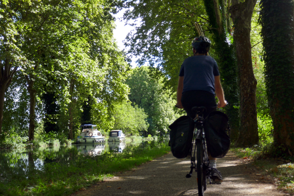 Sur l'itinéraire de la piste cyclable du canal des 2 mers à vélo, rien de tel que de profiter de l'ombre des platanes !