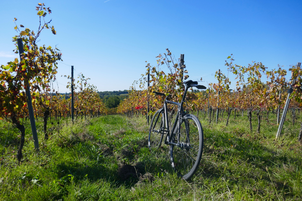 N'hésitez pas à faire une pause dans les vignes sur l'itinéraire Bordeaux Cadillac à vélo