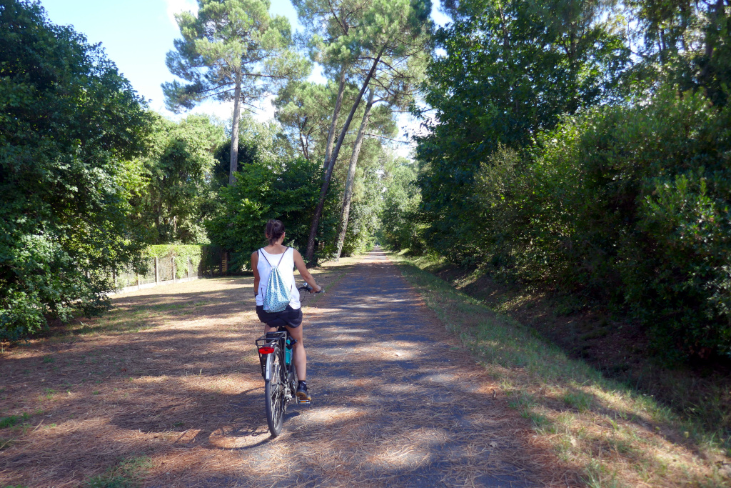 Faire du vélo sous les pins, une belle voie verte !
