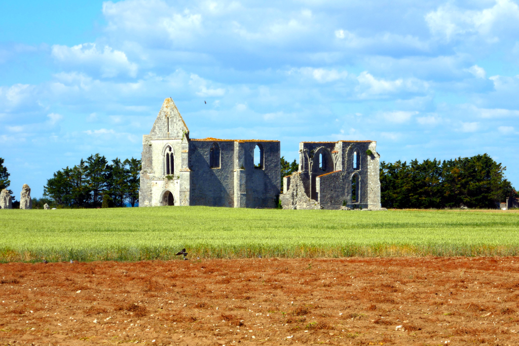 Une abbaye en ruine pour bien finir l'itinéraire de Rochefort à l'Ile de Ré à vélo