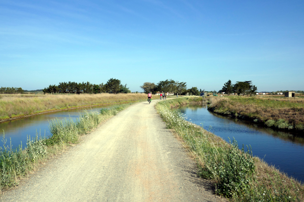 La Vendée à vélo et ses marais