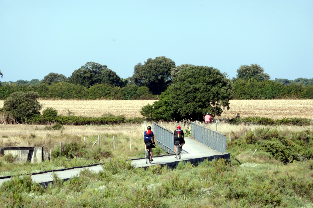 La Vendée à vélo fait prendre des petits ponts au milieu des marais