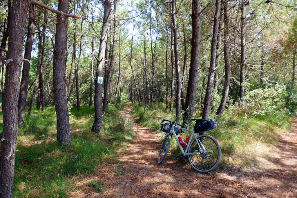 Ile de Noirmoutier à vélo et ses forêts de pins
