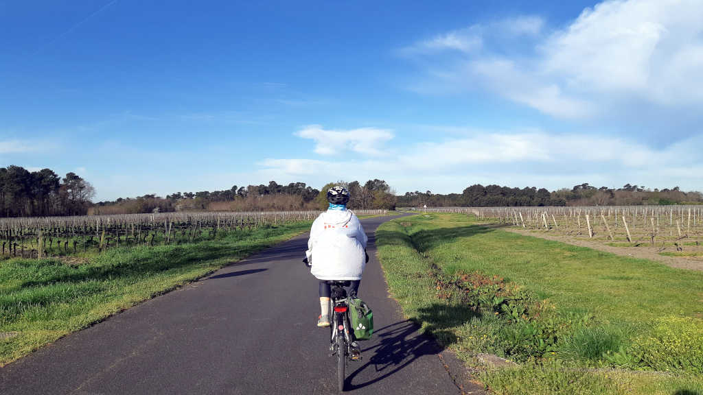 Blaye Royan à vélo avec un commencement au milieu des vignes